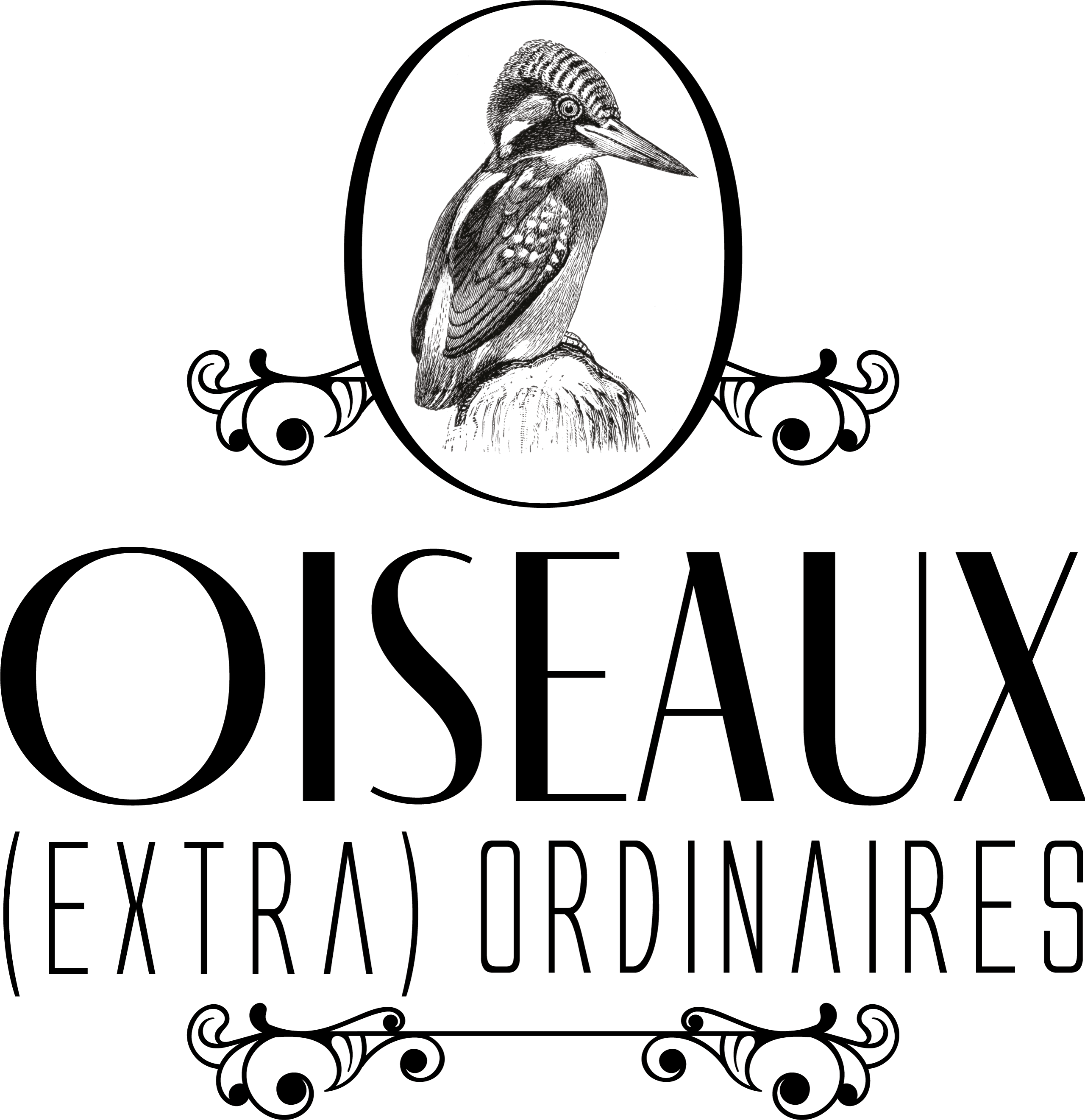 Expo oiseaux